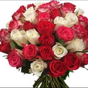 Meet your Posher, Hiba